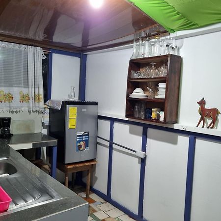Wildlife Art Tortuguero Hotel Екстериор снимка
