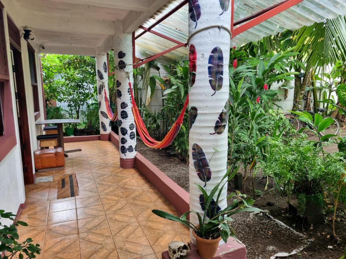 Wildlife Art Tortuguero Hotel Екстериор снимка