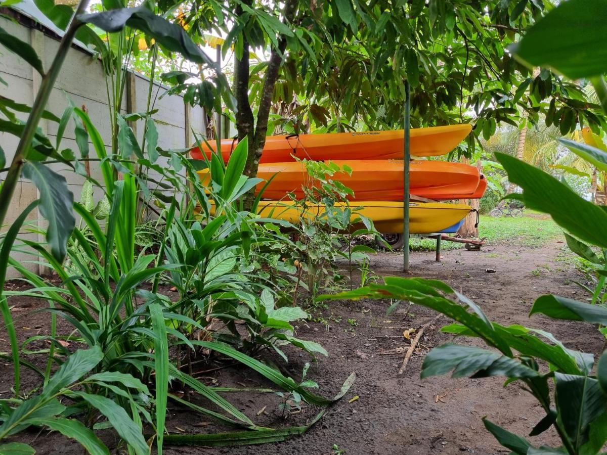 Wildlife Art Tortuguero Hotel Екстериор снимка