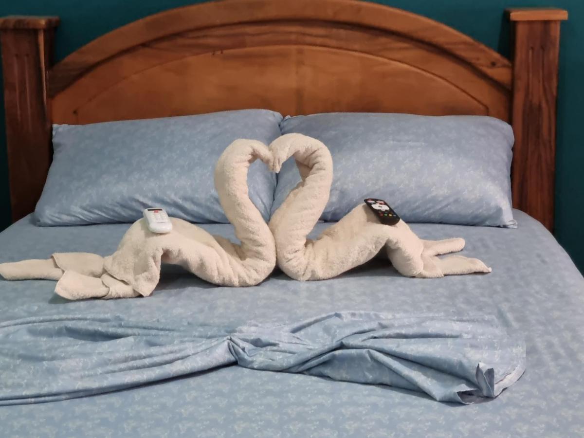 Wildlife Art Tortuguero Hotel Екстериор снимка