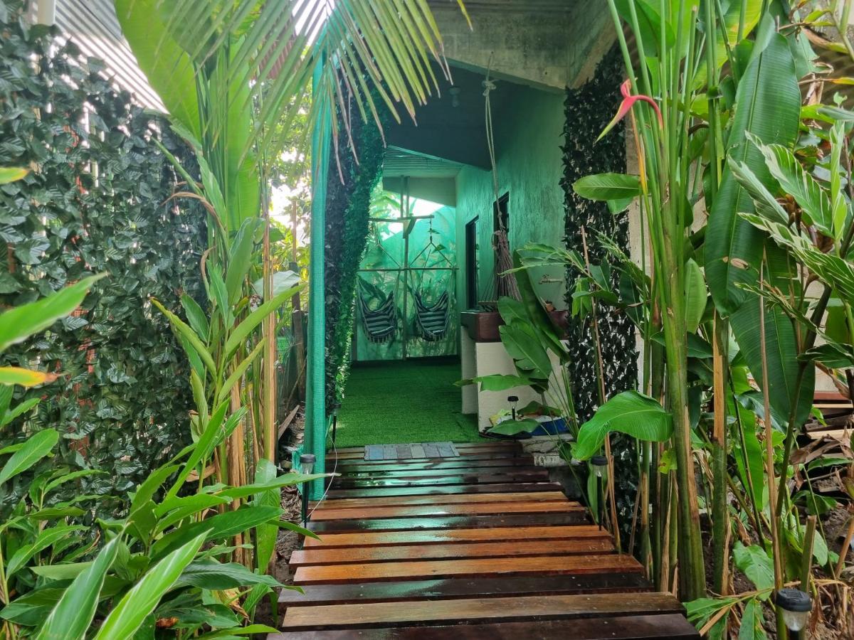 Wildlife Art Tortuguero Hotel Екстериор снимка