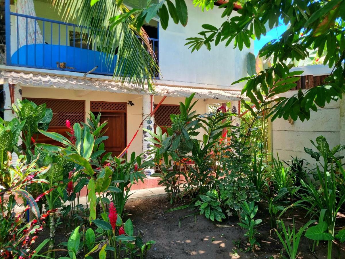 Wildlife Art Tortuguero Hotel Екстериор снимка