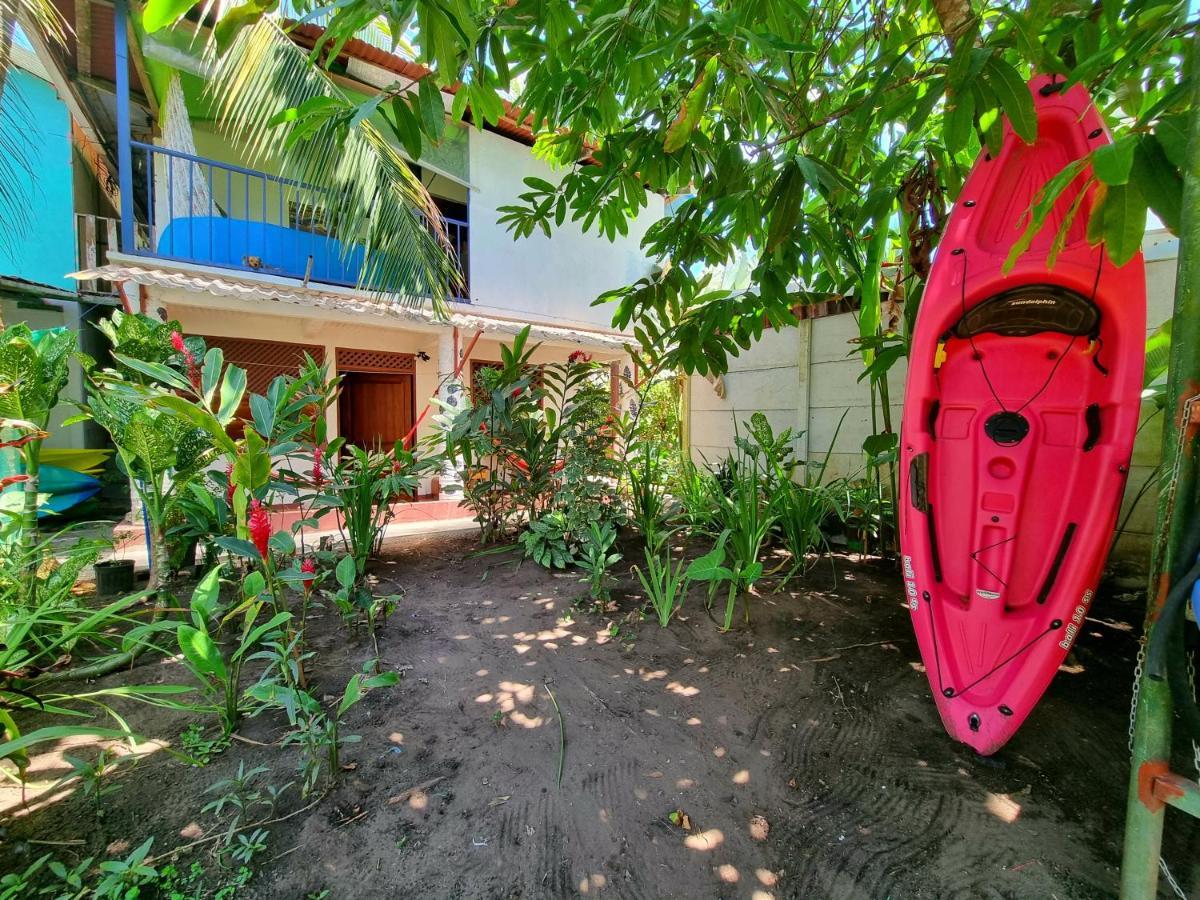 Wildlife Art Tortuguero Hotel Екстериор снимка