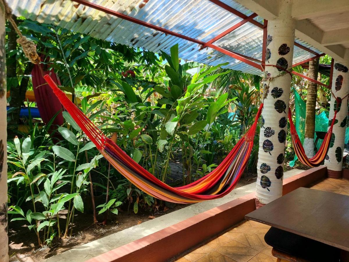 Wildlife Art Tortuguero Hotel Екстериор снимка