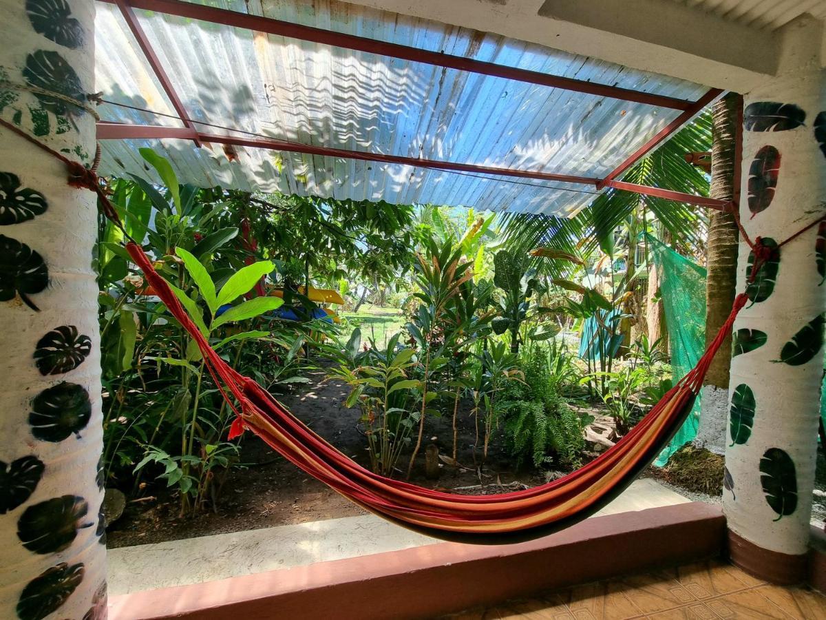 Wildlife Art Tortuguero Hotel Екстериор снимка