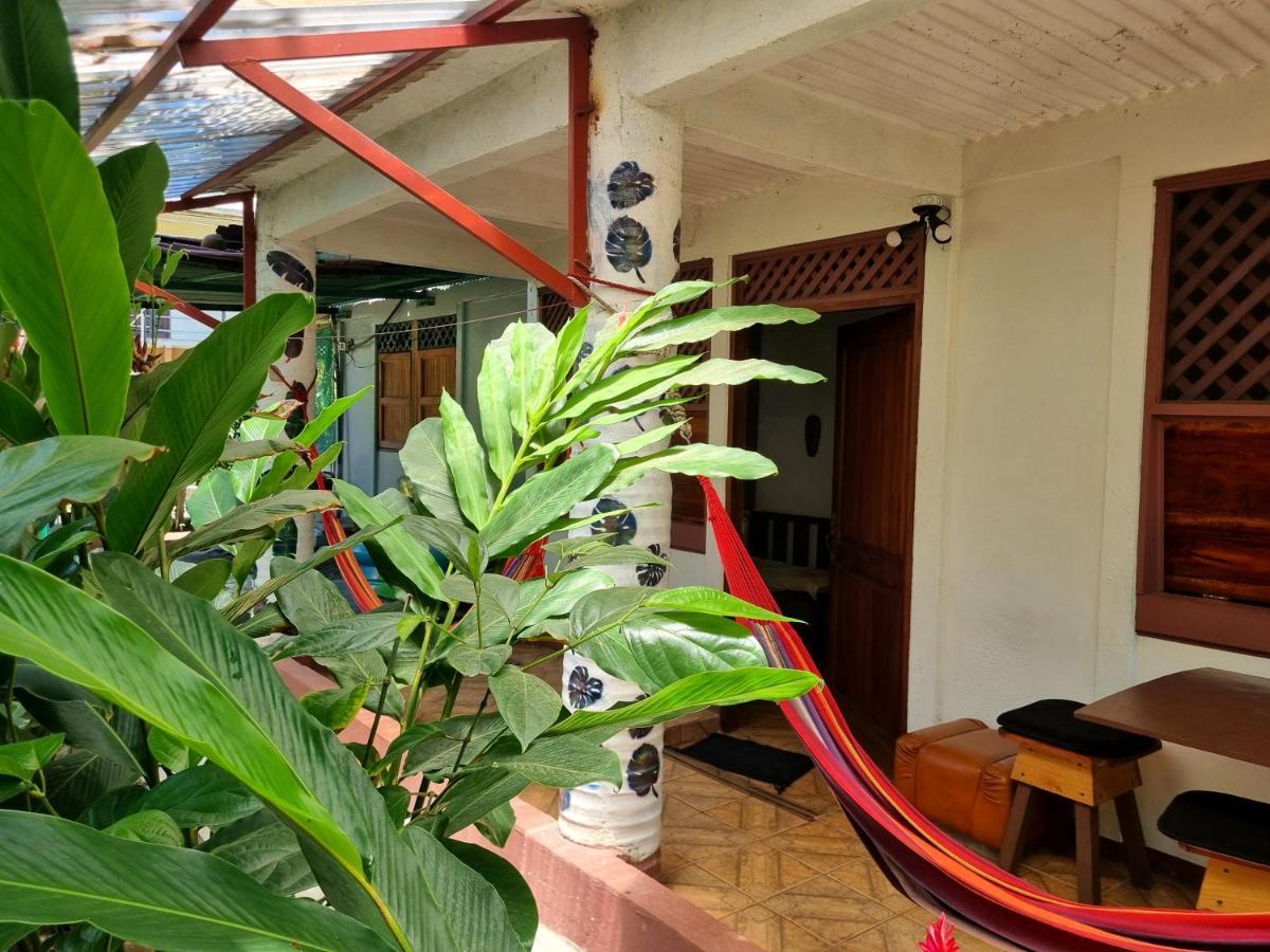 Wildlife Art Tortuguero Hotel Екстериор снимка