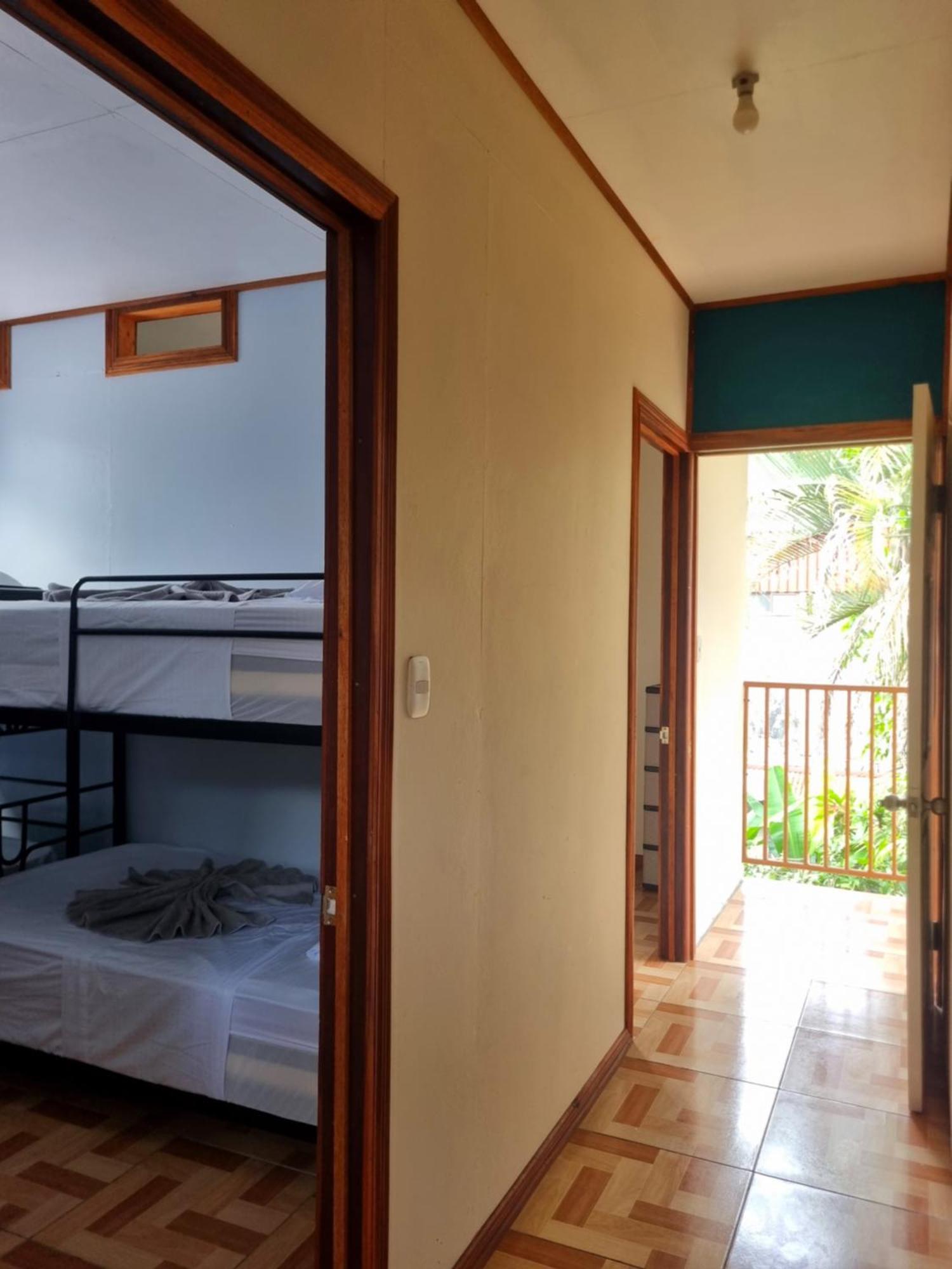 Wildlife Art Tortuguero Hotel Екстериор снимка
