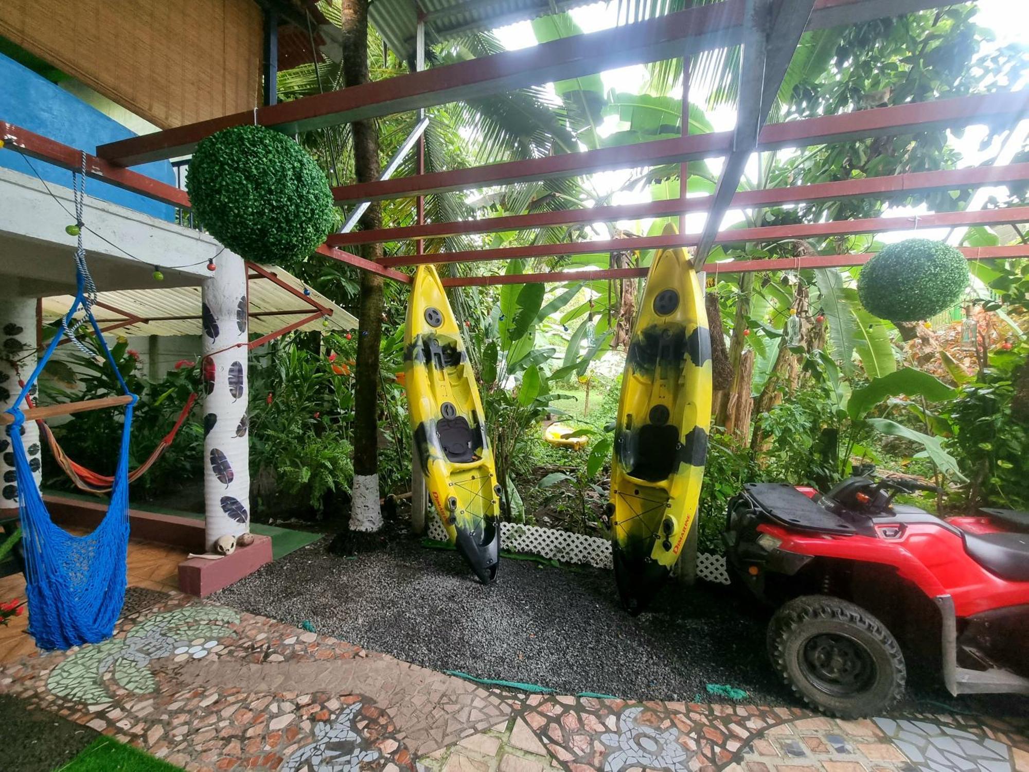 Wildlife Art Tortuguero Hotel Екстериор снимка