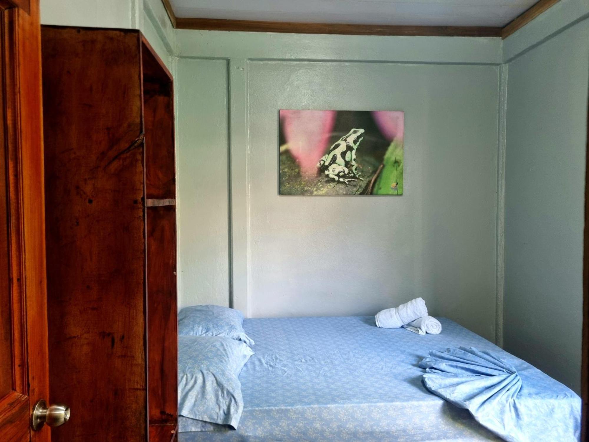 Wildlife Art Tortuguero Hotel Екстериор снимка