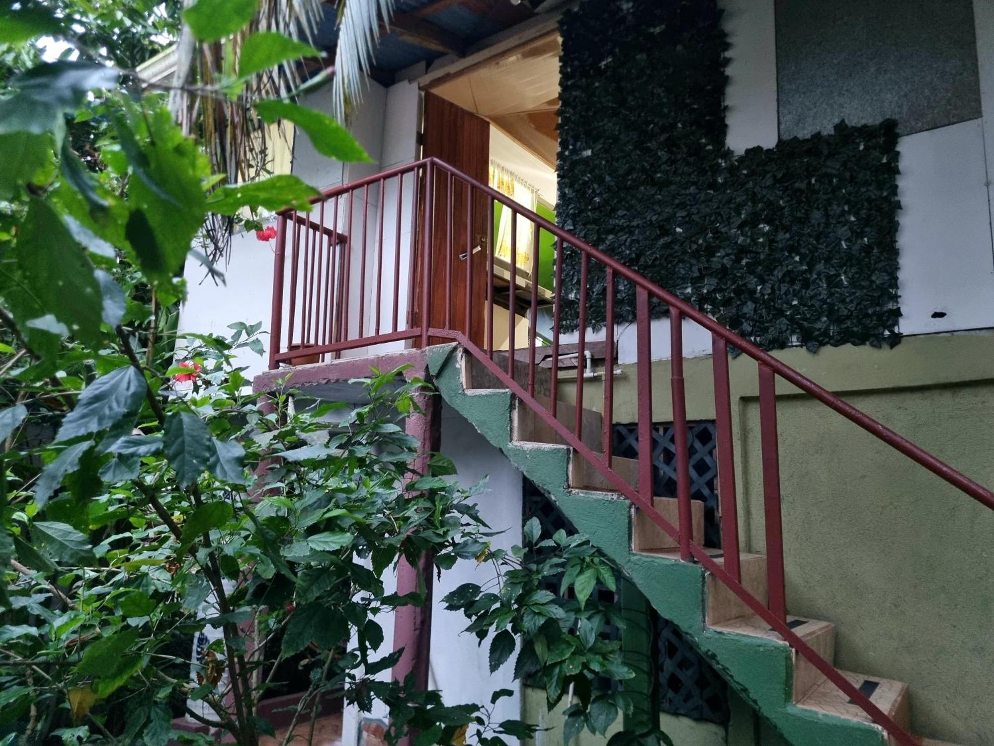 Wildlife Art Tortuguero Hotel Екстериор снимка