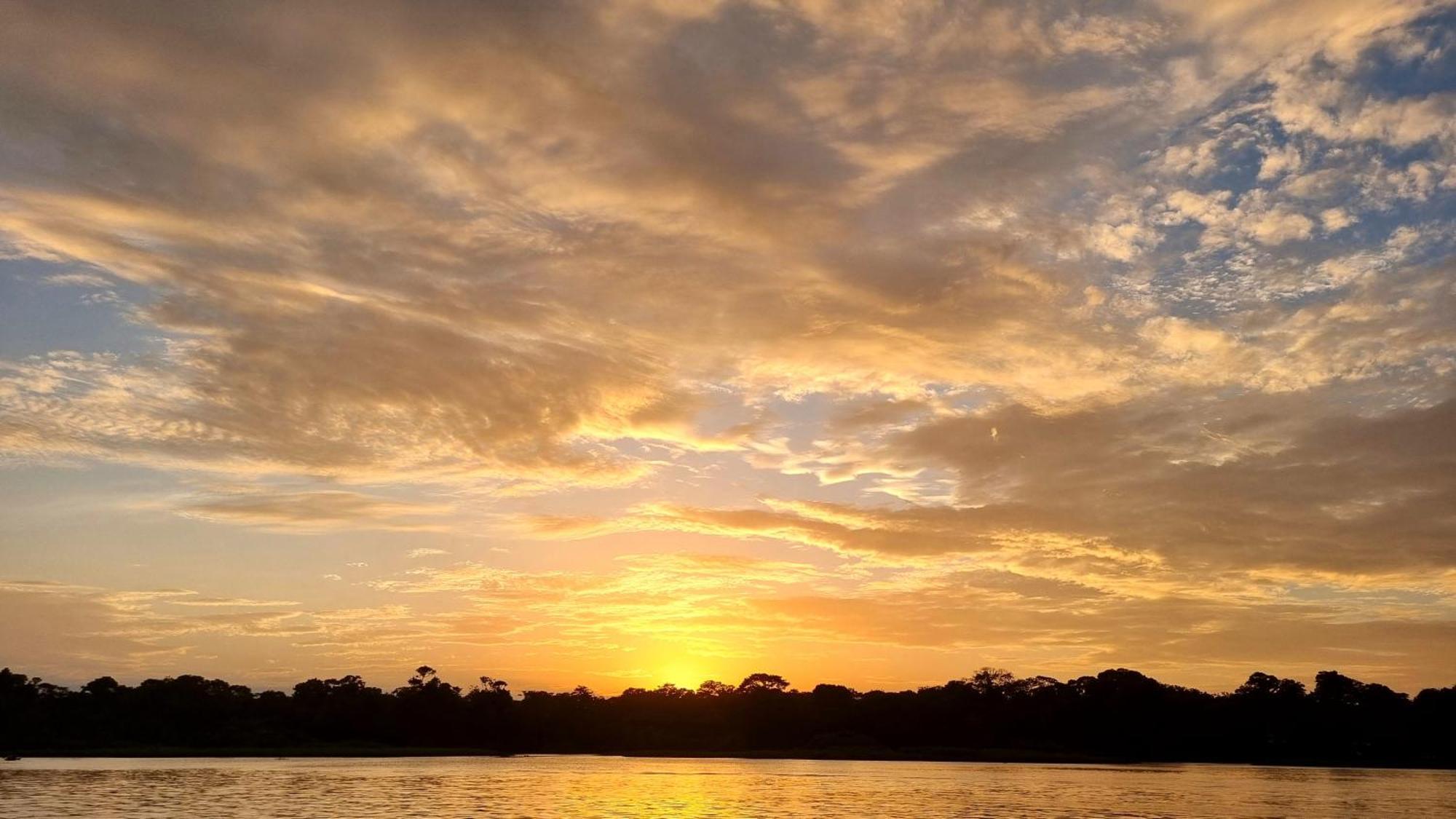 Wildlife Art Tortuguero Hotel Екстериор снимка