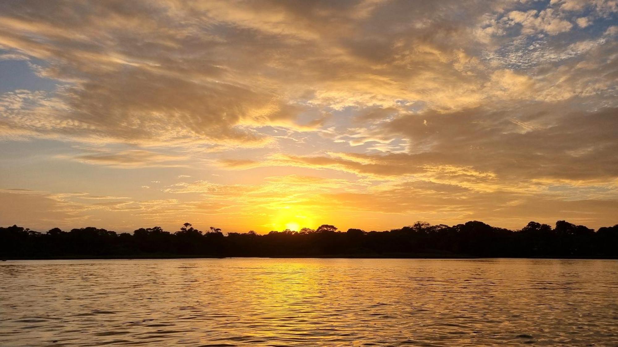 Wildlife Art Tortuguero Hotel Екстериор снимка