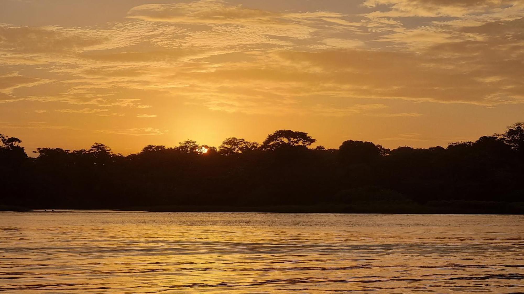 Wildlife Art Tortuguero Hotel Екстериор снимка