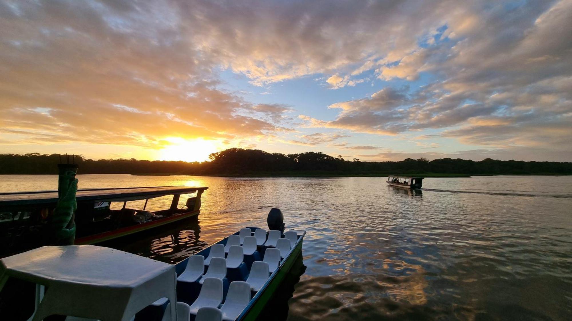 Wildlife Art Tortuguero Hotel Екстериор снимка