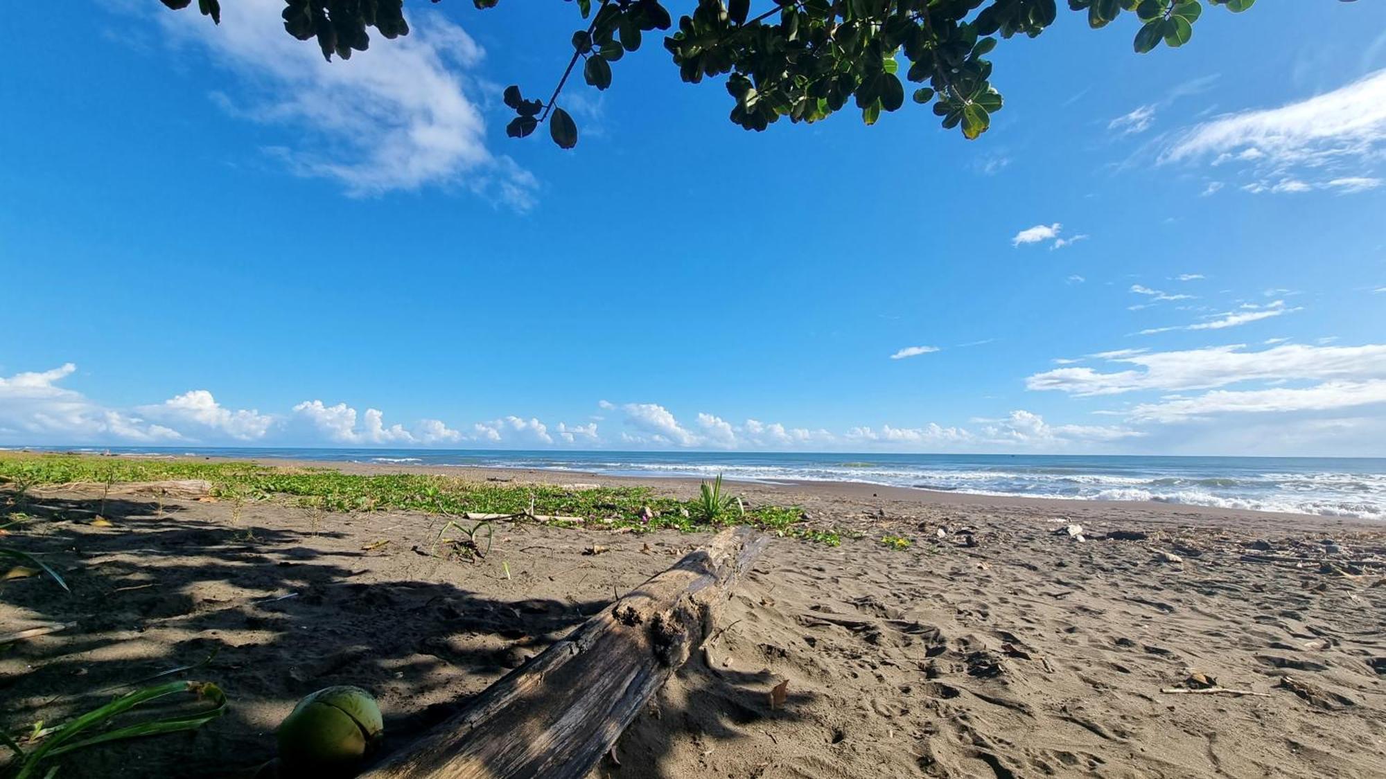 Wildlife Art Tortuguero Hotel Екстериор снимка