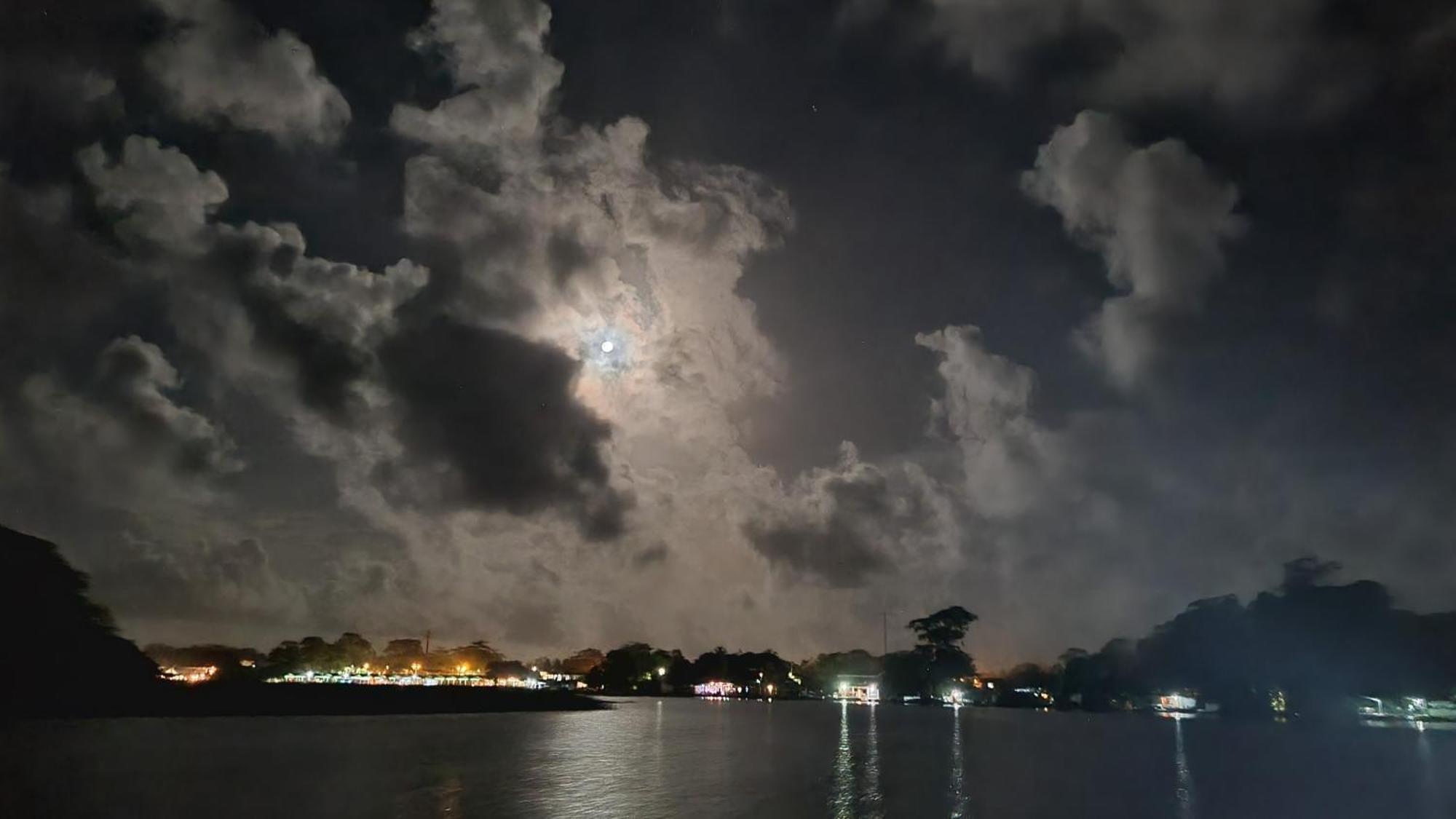 Wildlife Art Tortuguero Hotel Екстериор снимка