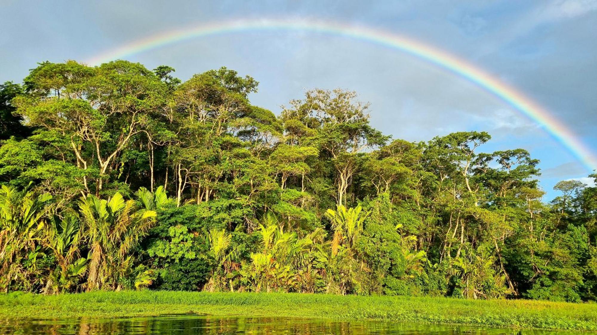 Wildlife Art Tortuguero Hotel Екстериор снимка